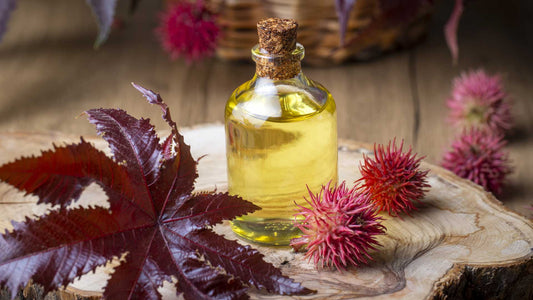 Know Your skin - Castor Oil for Elixir