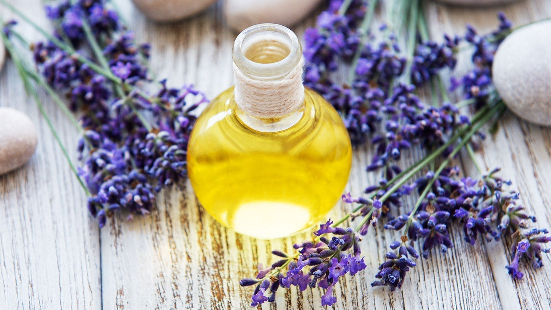 lavender oil mureco luna